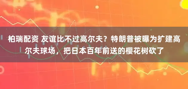 柏瑞配资 友谊比不过高尔夫？特朗普被曝为扩建高尔夫球场，把日本百年前送的樱花树砍了